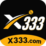 X333 Game