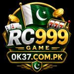 RC999 Game