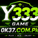 Y333 Game